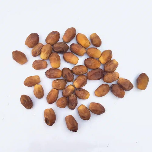 تصویر 5 از خرید خرما زاهدی صادراتی + قیمت فروش استثنایی