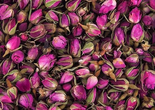 تصویر 4 از قیمت خرید غنچه گل محمدی اعلا با فروش عمده