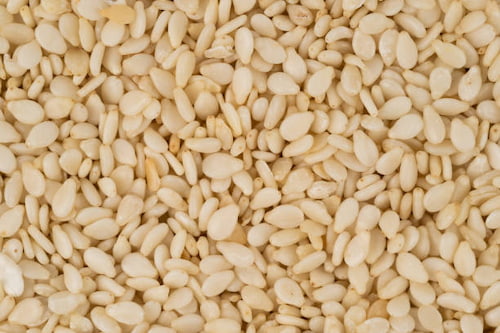 قیمت کنجد سفید
