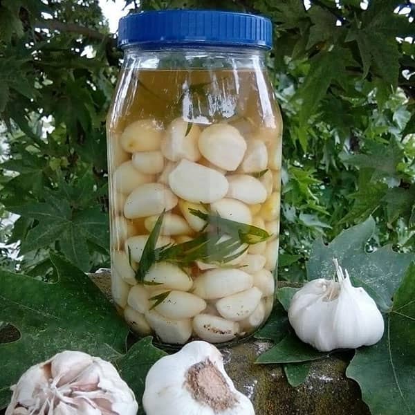 تصویر 3 از قیمت سیر شور خانگی  با کیفیت ارزان + خرید عمده