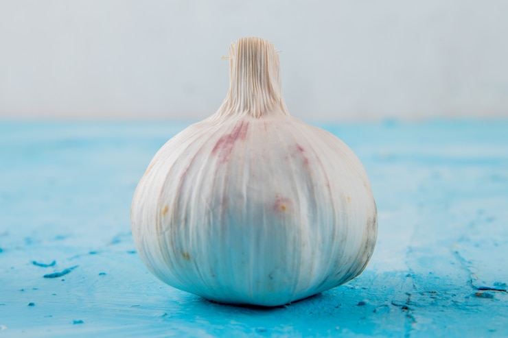 تصویر 1 از خرید سیر همدان + قیمت فروش استثنایی
