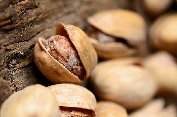 تصویر 1 از خرید پسته اکبری لیمویی + قیمت فروش استثنایی