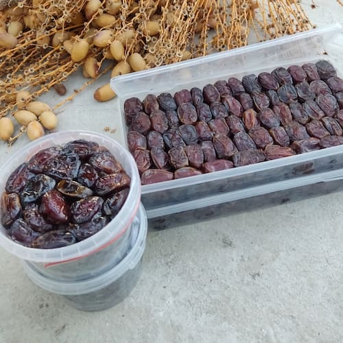 تصویر 1 از قیمت خرید خرما کبکاب بهبهان + فروش ویژه