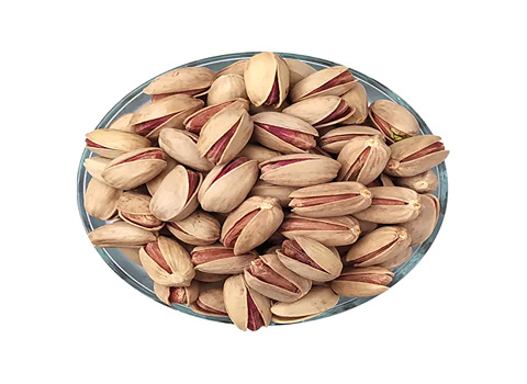 پسته اکبری درشت از بهترین باغات ایران