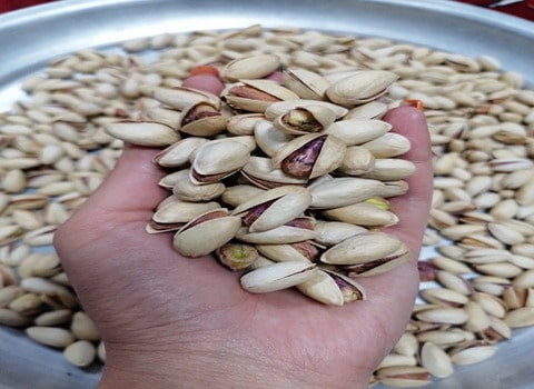 تصویر 3 از قیمت و خرید پسته اکبری تازه + فروش ارزان