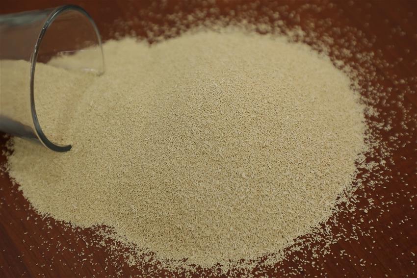 تصویر 1 از خرید و قیمت خمیر مایه خشک رضوی + قیمت عمده