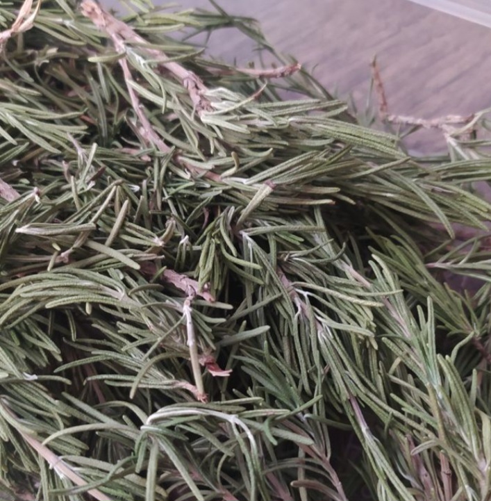 تصویر 2 از گیاه رزماری خشک فله قیمت عمده + فروش صادراتی