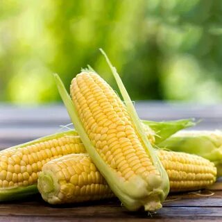 خرید عمده و قیمت کنسرو ذرت شیرین + فروش عمده