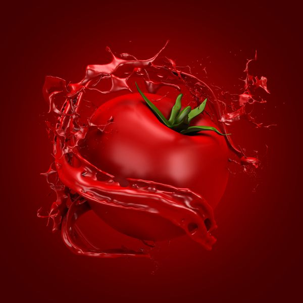 تصویر 5 از فروش گوجه فرنگی پژواک کام