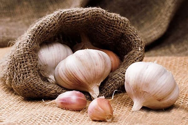 تصویر 4 از خرید و قیمت سیر شمال + فروش عمده