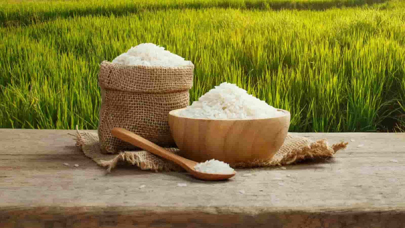 تصویر 1 از فروش برنج طارم + قیمت خرید به صرفه