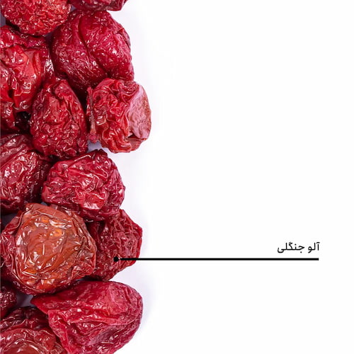 آلو جنگلی