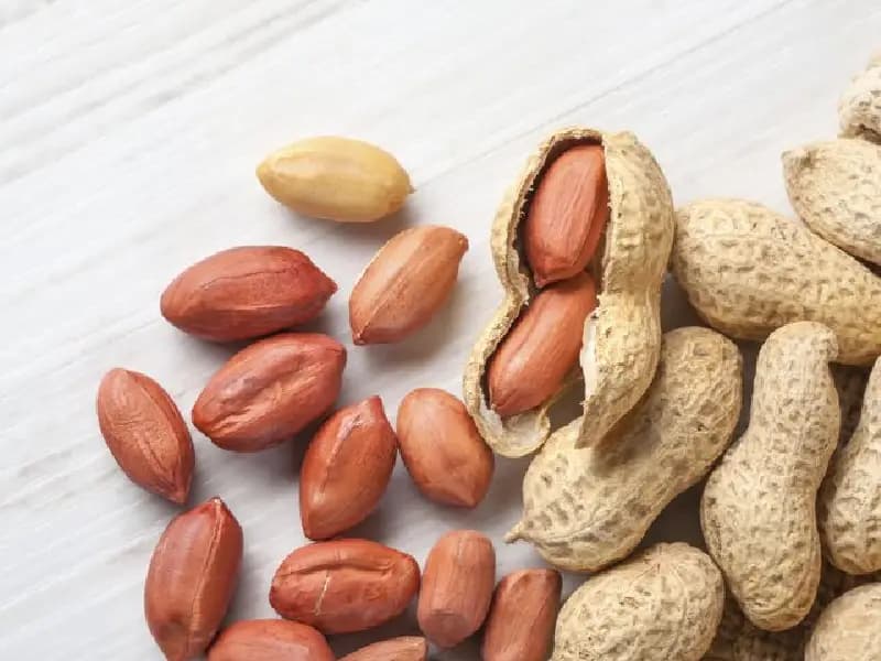 تصویر 3 از خرید و قیمت بادام زمینی مغان + فروش عمده
