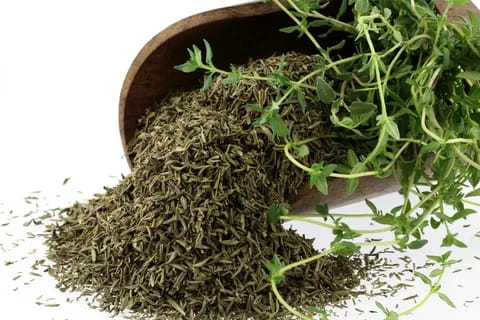تصویر 3 از خرید و قیمت آویشن ضد سرفه + فروش عمده