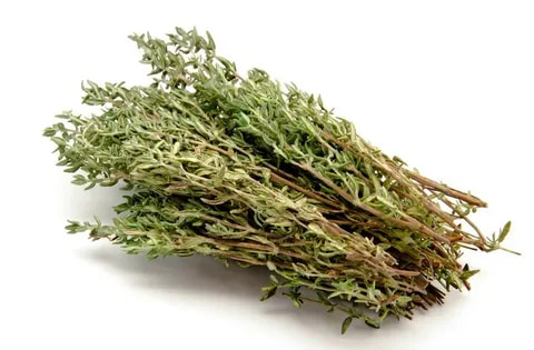 تصویر 2 از قیمت خرید آویشن صحرایی + فروش ویژه