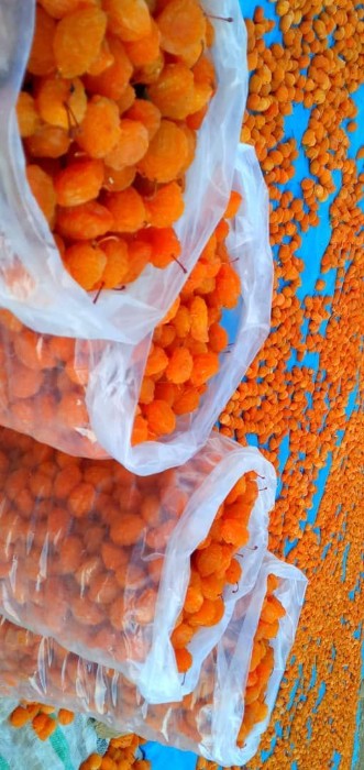 تصویر 1 از خرید به صرفه آلو بخارا حاج حسنی