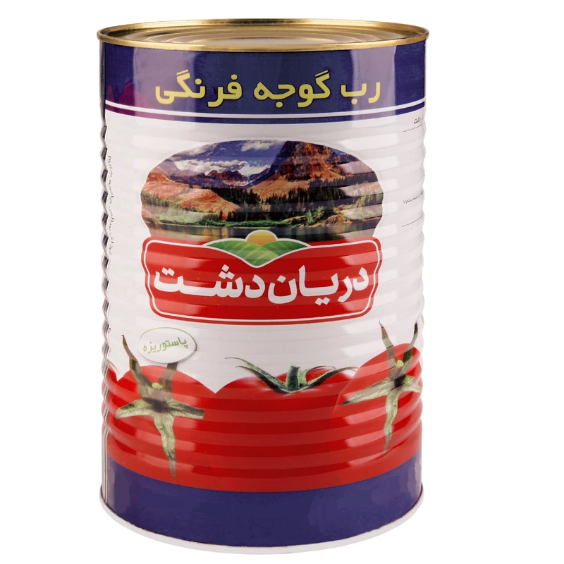 رب گوجه فرنگی دیان دشت ویژه مغازه‌ داران + شرایط عالی