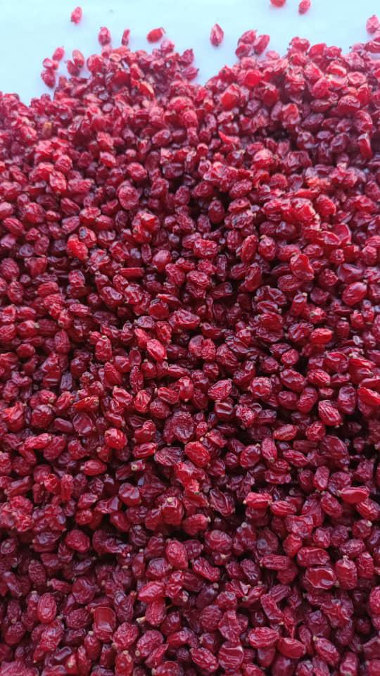 تصویر 1 از زرشک دانه اناری امسالی + قیمت استثنایی