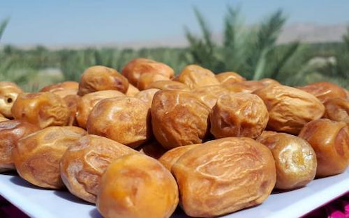 تصویر 1 از خرید خرما زاهدی (قصب) خشک و درجه یک