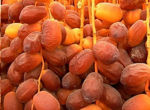 تصویر 1 از خرید خرما زاهدی بهبهان + قیمت فروش استثنایی
