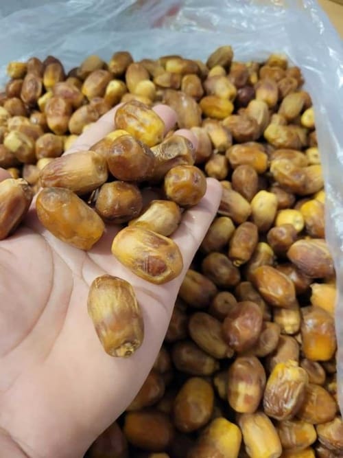 تصویر 3 از خرید و قیمت خرما زاهدی زرد عسلی + فروش صادراتی