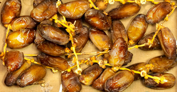 تصویر 2 از خرید و فروش خرما زاهدی بوشهر با شرایط فوق العاده