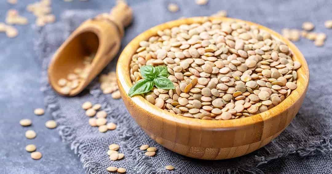تصویر 4 از خرید و قیمت عدس ایرانی + فروش عمده