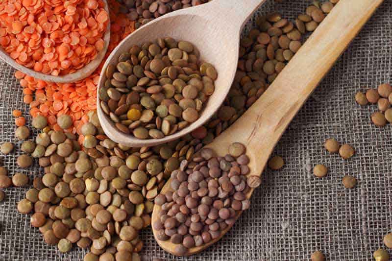 تصویر 3 از قیمت عدس اخضر + خرید باور نکردنی