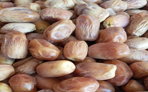 تصویر 3 از قیمت خرما زاهدی کرمان با کیفیت ارزان + خرید عمده