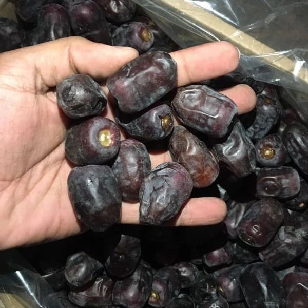 تصویر 3 از خرید و قیمت خرما مضافتی لوکس + فروش عمده