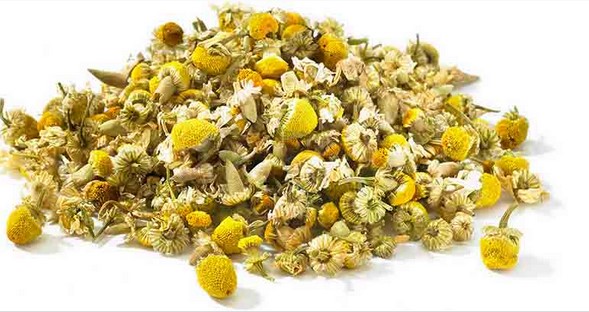 تصویر 1 از خرید عمده بابونه ارگانیک اردبیل با کیفیت صادراتی