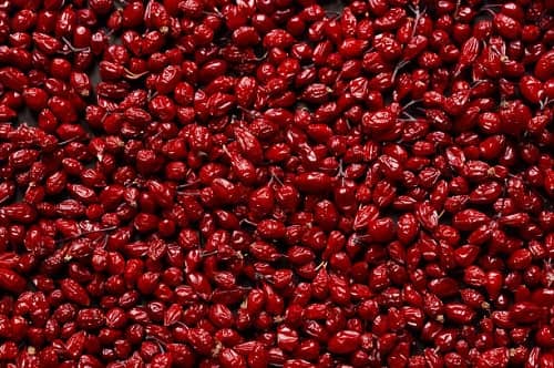 تصویر 3 از قیمت خرید زرشک پفکی صادراتی اصل قاینات + فروش ویژه