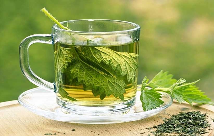 تصویر 2 از خرید دمنوش نعناع خالص با کیفیت ممتاز