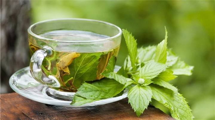 تصویر 3 از خرید دمنوش نعناع خالص با کیفیت ممتاز