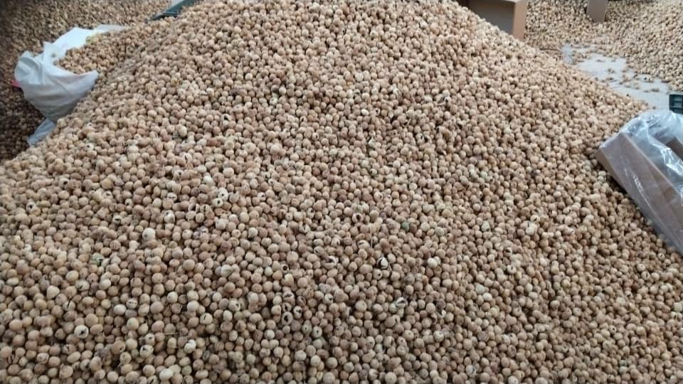 تصویر 2 از فروش ویژه انجیر خرمایی متوسط با بسته بندی دلخواه