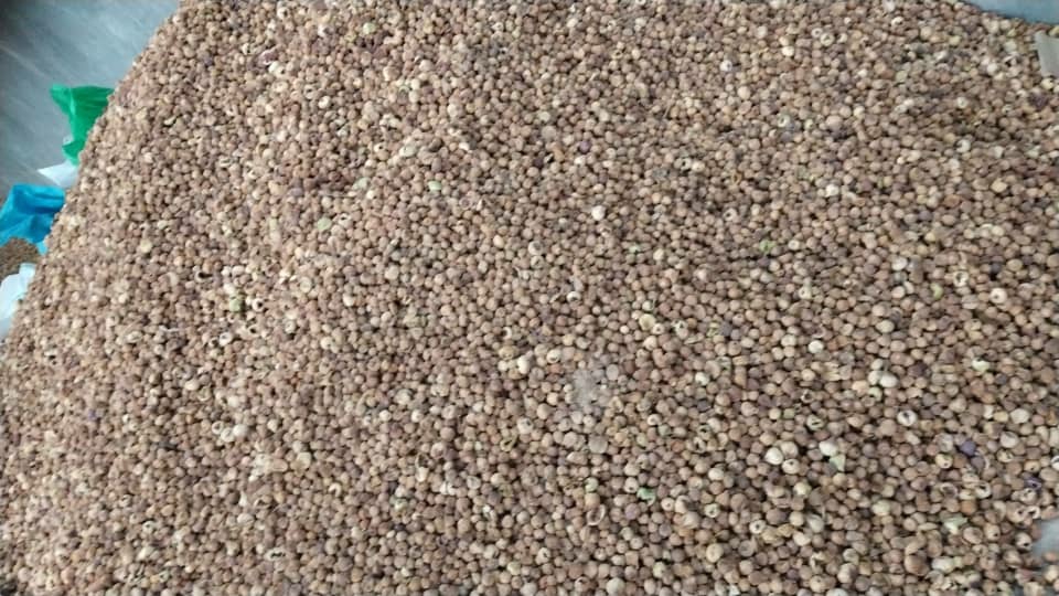 تصویر 1 از فروش ویژه انجیر خرمایی متوسط با بسته بندی دلخواه