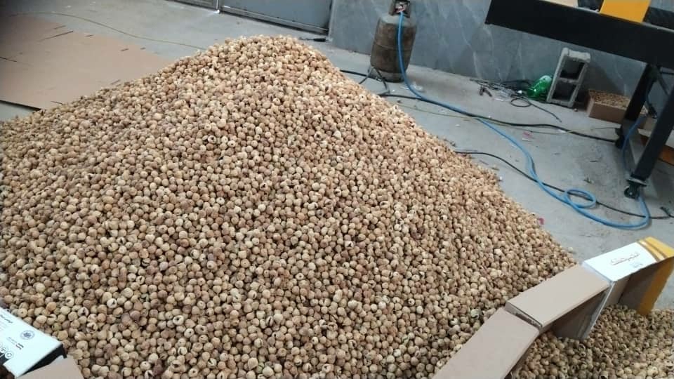 تصویر 1 از خرید و فروش ویژه انجیر خرمایی درشت مستقیم از باغدار