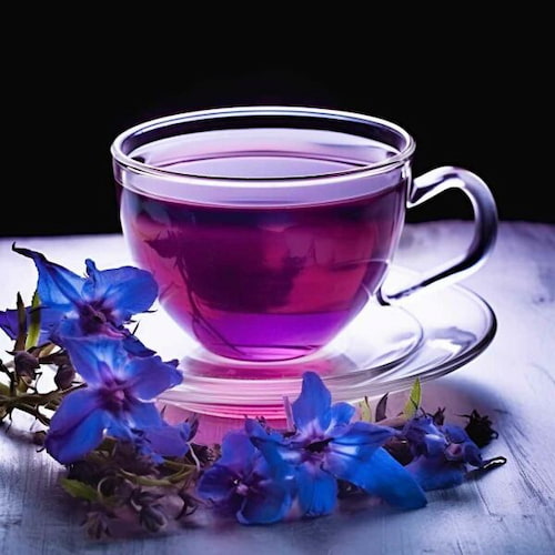 خرید و قیمت گل گاو زبان ممتاز + فروش عمده