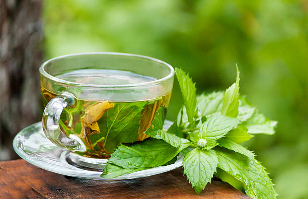 تصویر 1 از خرید و قیمت عرق نعناع اصل + فروش عمده