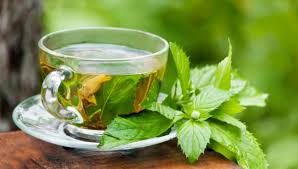 تصویر 1 از فروش ویژه دمنوش نعناع فلفلی ارگانیک + طعم خنک