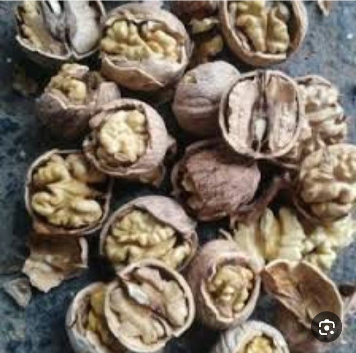 گردو کاغذی