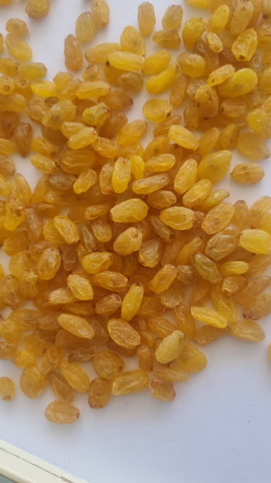 تصویر 2 از کشمش مرغوب متین