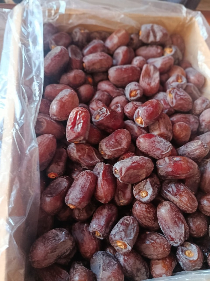 تصویر 2 از قیمت خرمای کلوته جیرفت و عنبرآباد + فروش بی‌ واسطه