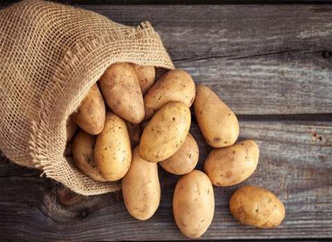 خرید سیب زمینی اردبیل + قیمت فروش استثنایی
