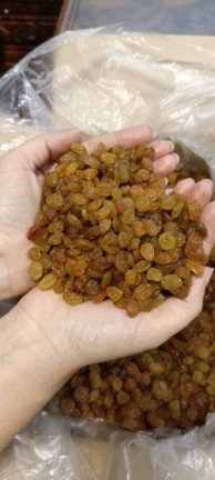 کشمش پلویی آفتابی + فروش عمده