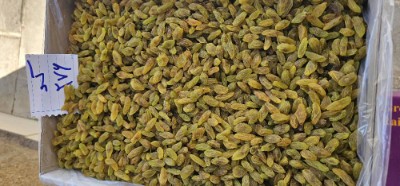 تصویر 1 از کشمش سبز متوسط خليل آباد + فروش عمده