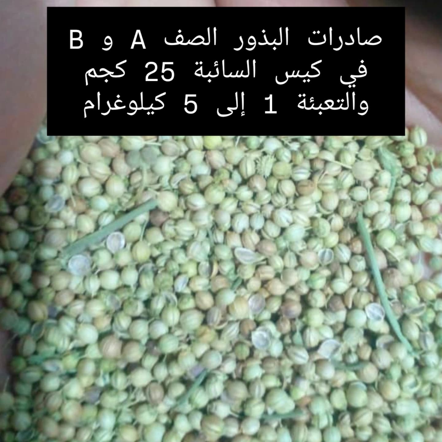 راهنمای خرید ادویه عمده خوراکی از تولید کنندگان برتر ایران