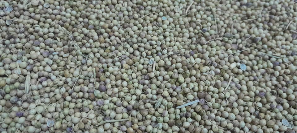 قیمت ادویه خورشتی