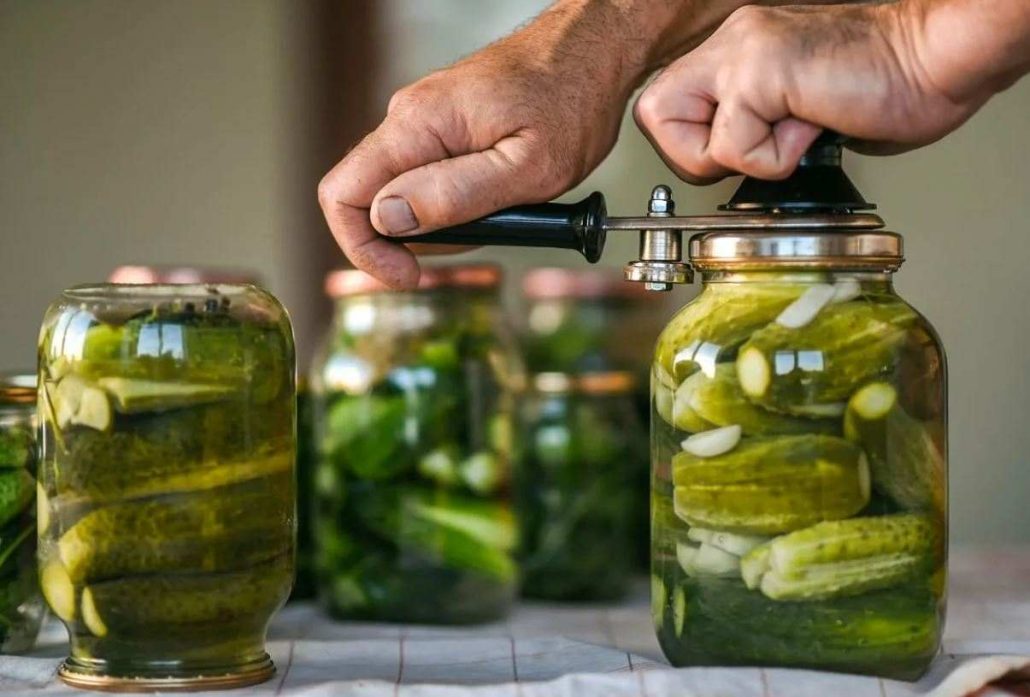 خیارشور