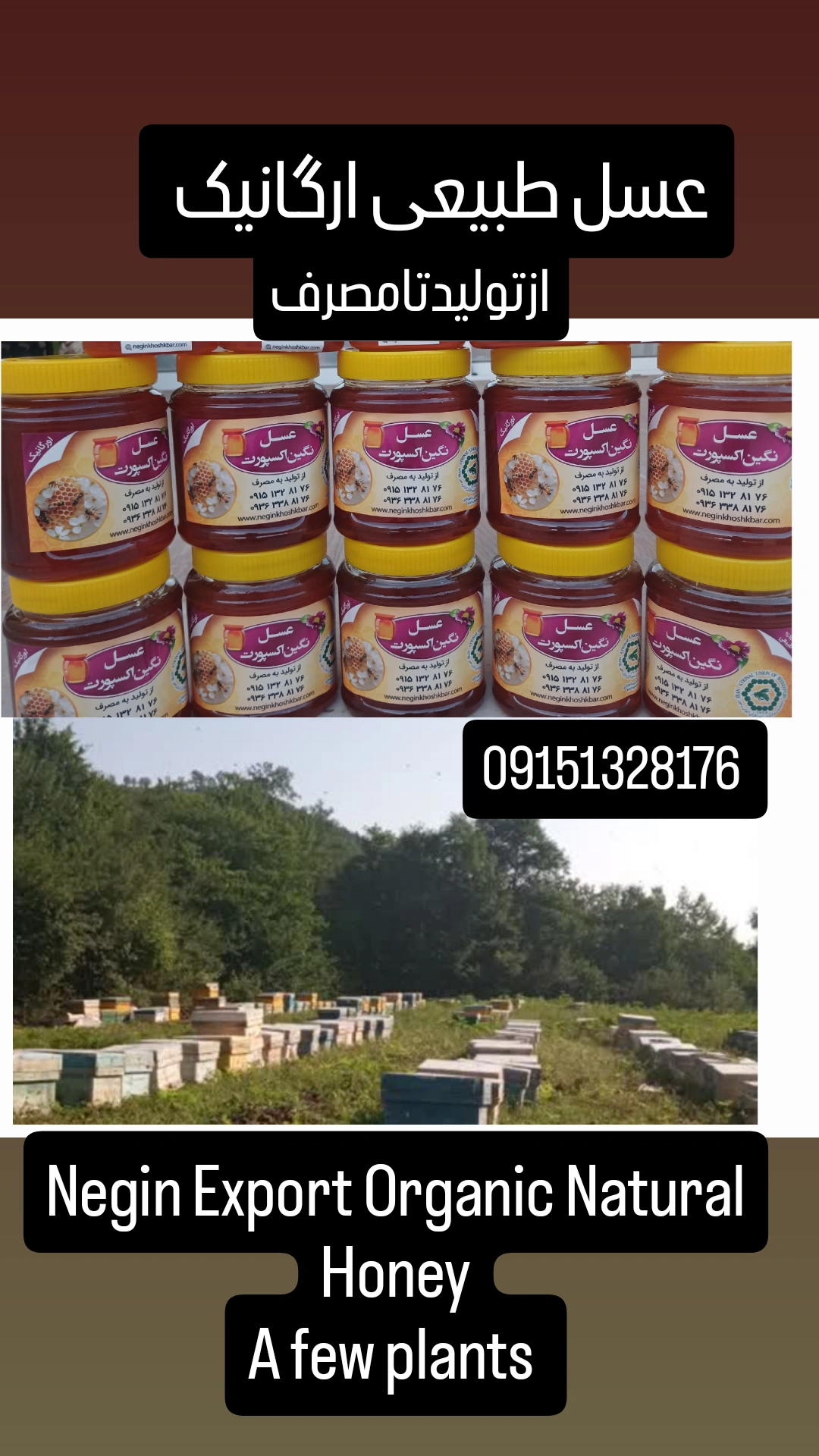 تصویر 1 از خرید عسل جنگلی + فروش نقدی